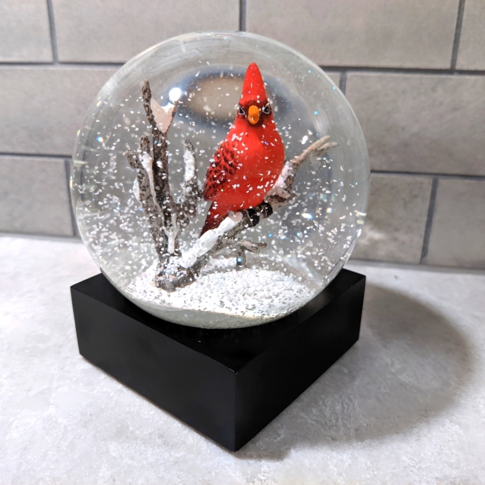 Cool Snow Globe Cardinal with Black Base with Box